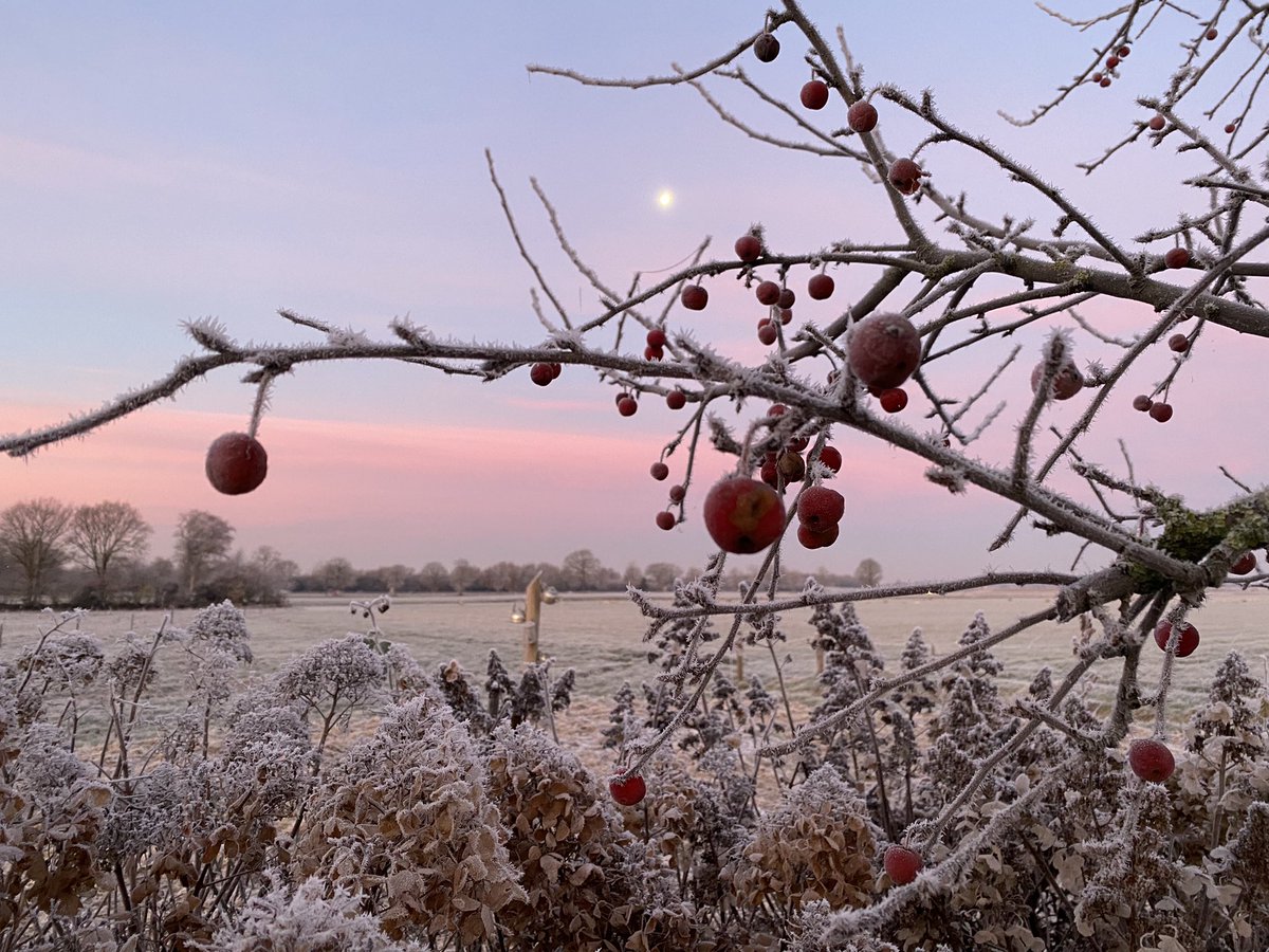 De koude nachten leveren prachtige ochtenden op, genieten! ❄️😍
