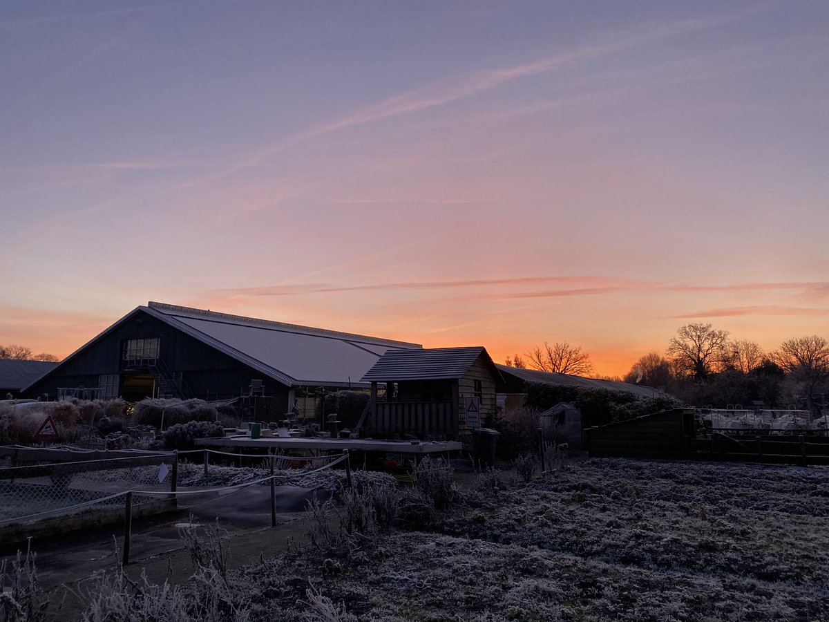 De Maargies Hoeve tweet media