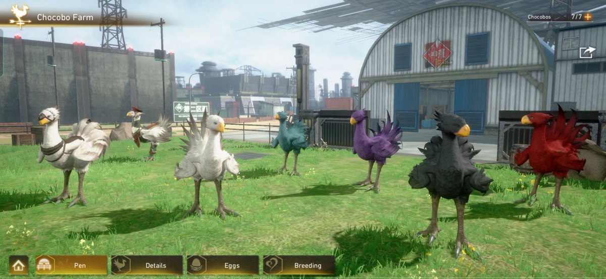 Helian_TC's tweet photo. #FF7FSBestShot #TrainingInMidgar #SightseeingInMidgar Some snapshots of my time with the game so far! How cool is it to manage your own chocobo ranch on mobile!? https://t.co/StTi2BYhRu
