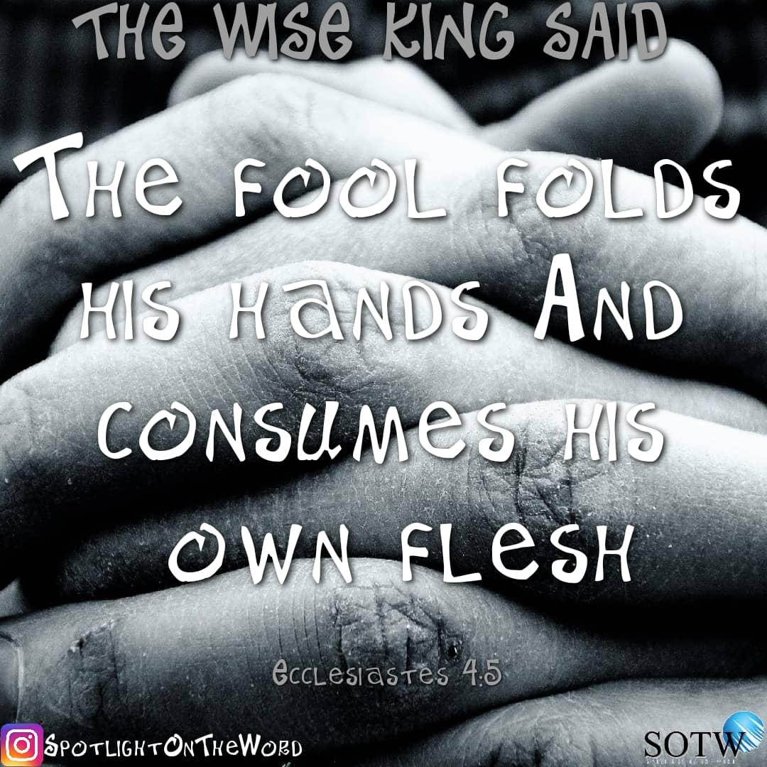 Spotlightotw's tweet photo. Good morning https://t.co/XRrq4Odqs8