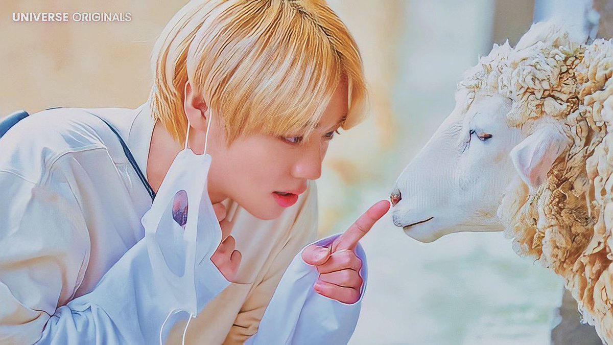 fankk42's tweet photo. Handsome boy with blonde hair 🐥🐥 🥰 @Park_Jihoon_twt #parkjihoon #박지훈 https://t.co/f1Z7aKtXNQ