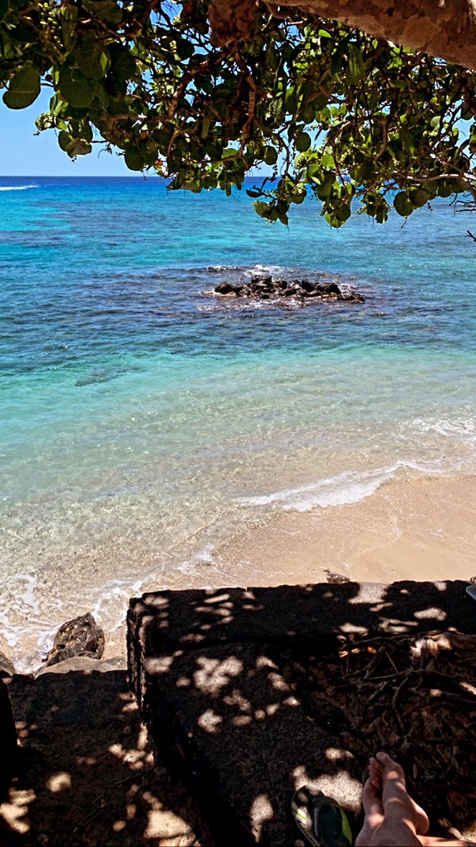 mxaeeva's tweet photo. Officiellement amoureuse de la Réunion 🇷🇪 https://t.co/vFkMkF6eqe