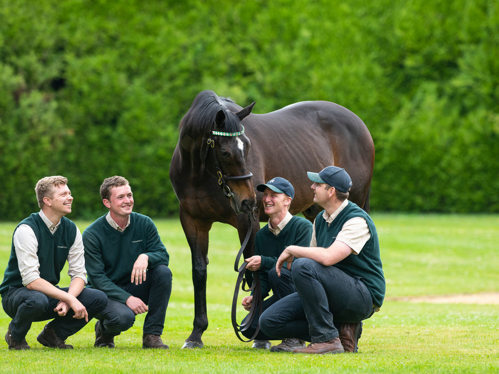 Juddmonte are sad to announce the passing of Champion sire DANSILI.
juddmonte.com/post/veteran-s…
