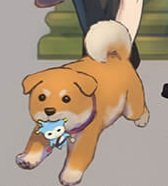 missiledoge's tweet photo. Missile https://t.co/uRVQnJI68a