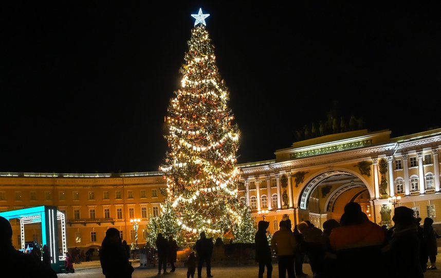 новогоднюю ёлку с санкт-петербурге центральная. главная елка санкт-петербурга на дворцовой площади. елка на дворцовой площади 2021-2022. главная елка санкт-петербурга на дворцовой площади. большая елка в питере.