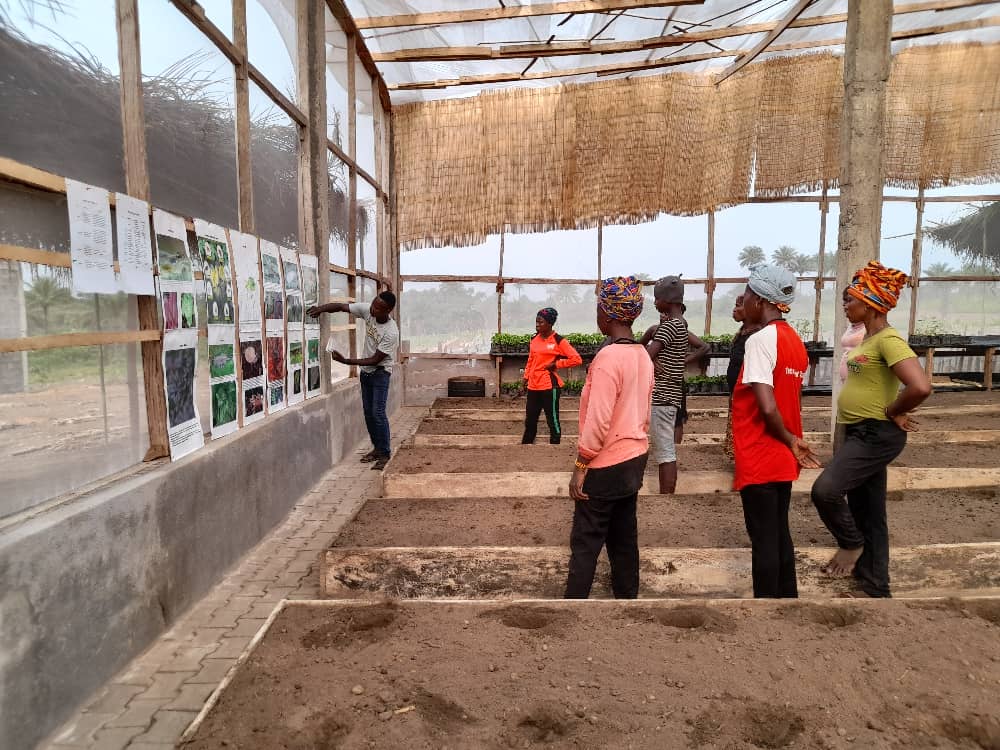 sl_sdf's tweet photo. A cross-section of trainees at Keeping Hope Alive learn about Pest Contol Management through visual aids. 
#Mthe
#WorldBank
#sdfsierraleone https://t.co/Vnbbloj6VY