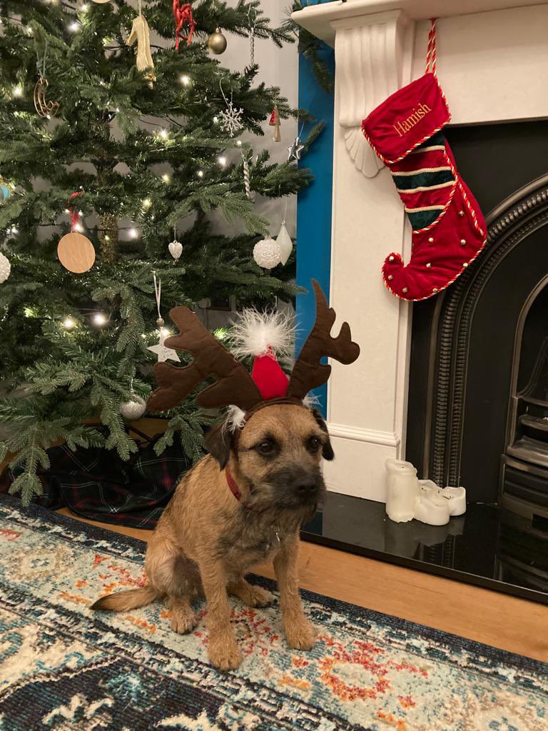 Happy Holidays #BTPosse pals!