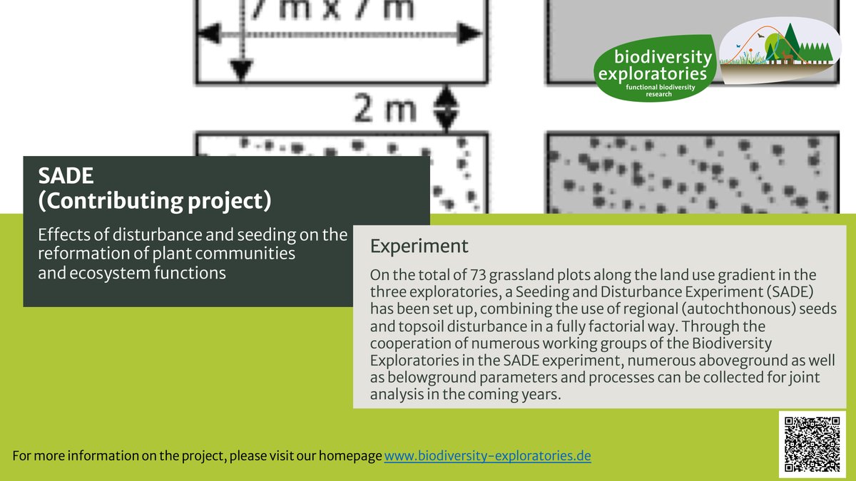 Today we would like to present the SADE project biodiversity-exploratories.de/en/projects/ef… <a href="/freitag_martin/">Martin Freitag</a> <a href="/judithjubel/">judith.hinderling</a>