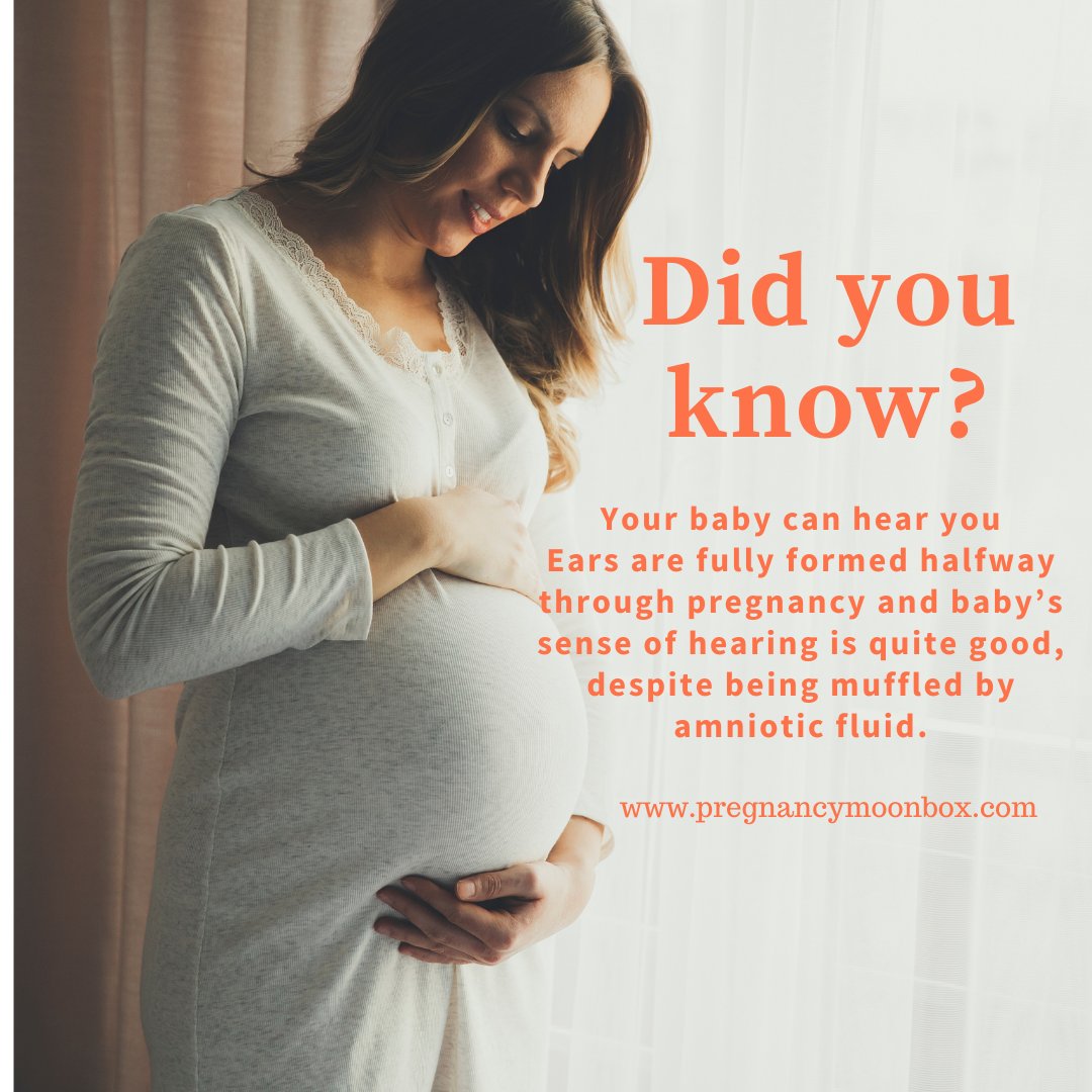 PregnancyMoon's tweet photo. Did you know ... ??
Your baby can hear you
Ears are fully formed halfway through pregnancy and baby’s sense of hearing is quite good, despite being muffled by amniotic fluid. 
#didyouknow #factoftheday #pregnancyfacts #pregnancy #pregnant #pregnancyblog https://t.co/g8NlLiEpd6