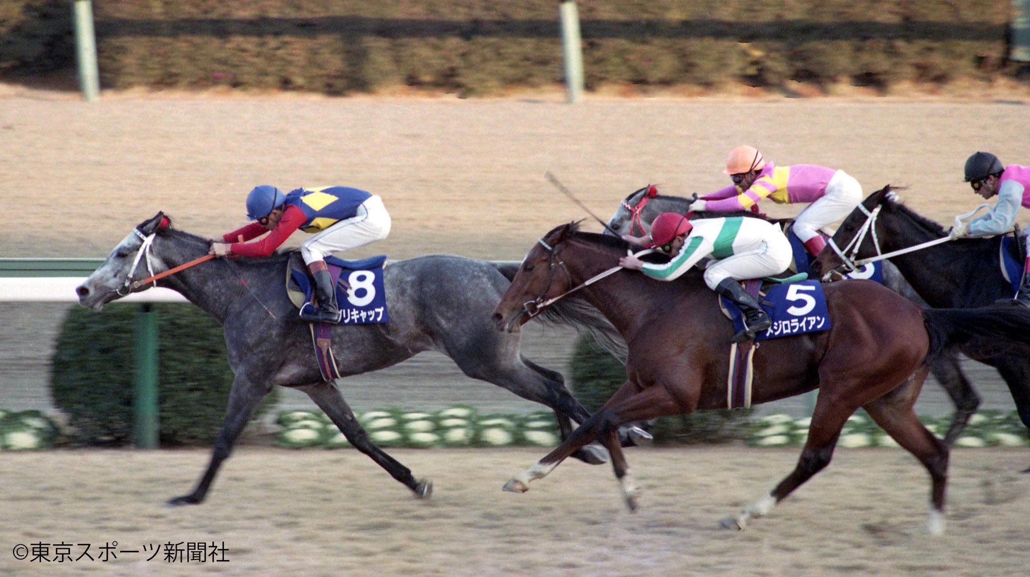 東スポ競馬 水曜恒例の東スポnote 今回は ウマ娘 シンデレラグレイ のヒロイン オグリキャップ 有馬記念 での奇跡の復活etc社会現象を巻き起こしたその蹄跡を 東スポ で振り返ります 競馬 東スポ競馬 武豊 Note T Co Oklechqtmd Twitter