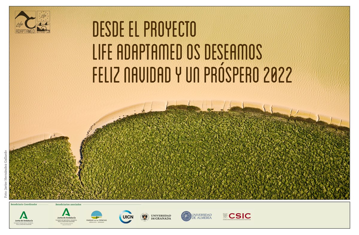 lifeadaptamed's tweet photo. 🎈Desde el equipo de #LIFEAdaptamed os deseamos unas #FelicesFiestas en excelente compañía y mejor salud️🛎 #CuidemonosEntreTodos https://t.co/znd2uyoxvC