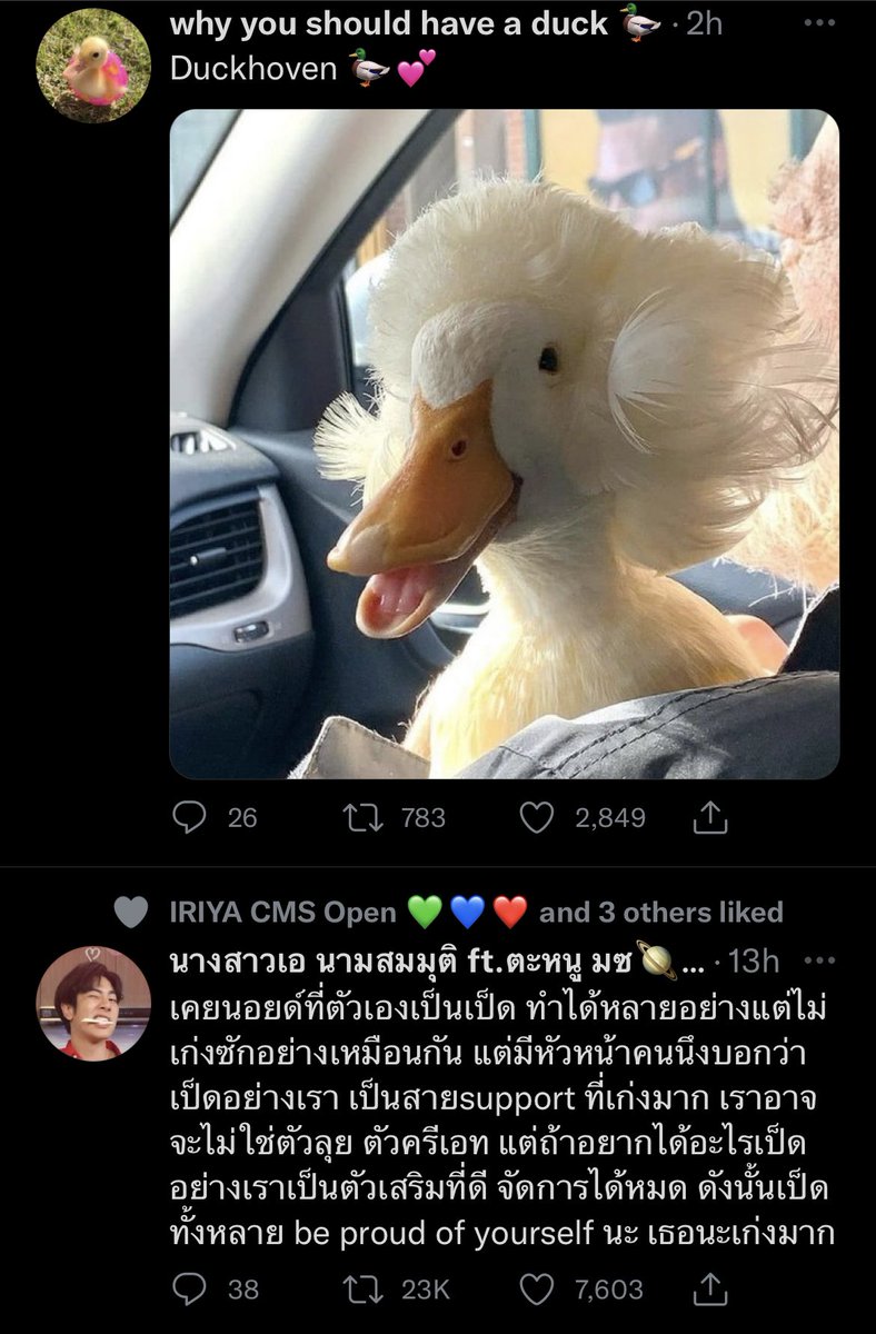 whats_Wr's tweet photo. @hsjjshiky คุณคะ ไม่เกี่ยวเท่าไหร่ แต่ว่า https://t.co/oTKYdfPaHU