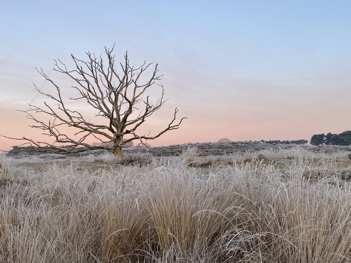 Prachtige ochtend op de kampina