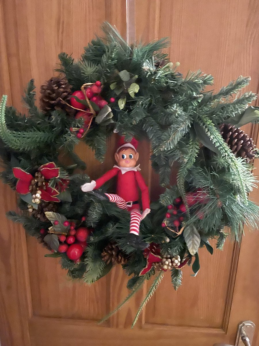 TKASMrShepherd's tweet photo. #Elfvis was just chilling on Aretha https://t.co/szTD30lOhB