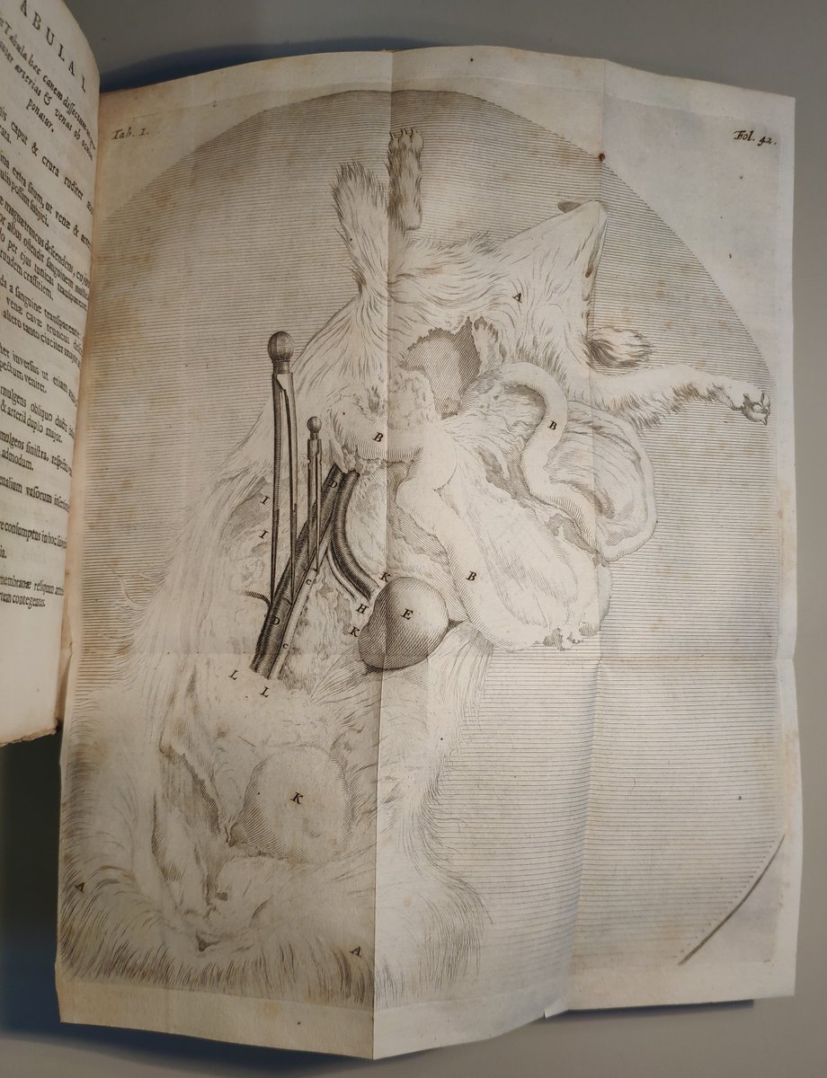 BiblioFbk's tweet photo. Per la rubrica #dalfondoantico vi proponiamo un’opera medica: le “Cogitationum de Instauratione medicinae ad sanitatis tutelam, morbos profligandos” di Bartholomaeus de Moor, stampata nel 1695 ad Amsterdam da Gerhard Borstius. 🩺
 #oldbooks #medicina #studianatomici #sciezaantica https://t.co/JARisewbEC