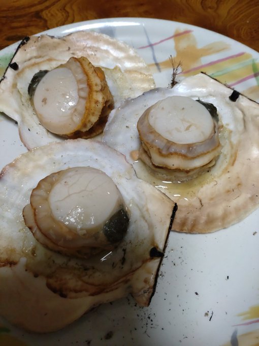 こっちが本命…え…あと5キロもあるん…? 