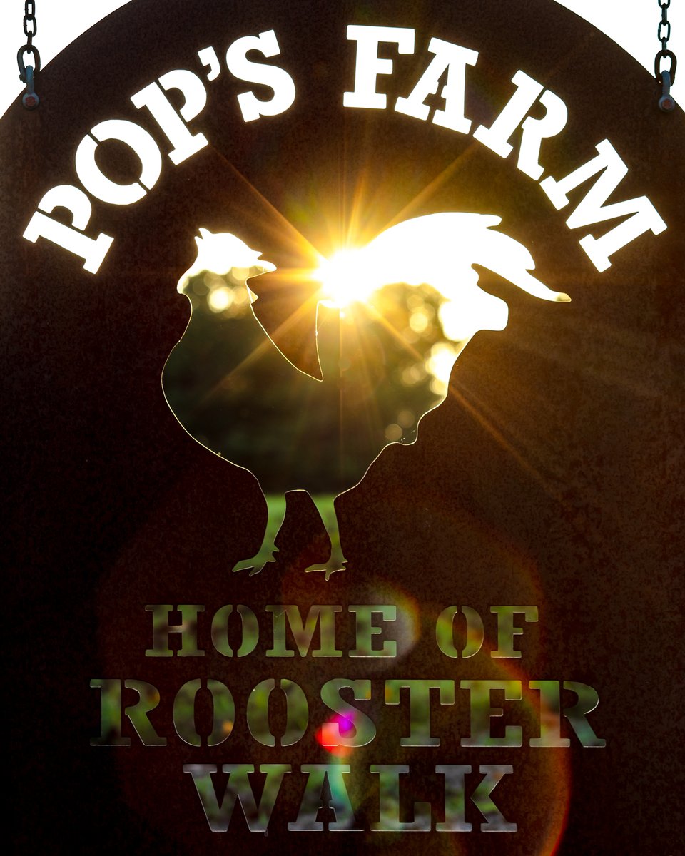 RoosterWalk's tweet photo. Brighter days ahead... #WinterSolstice has passed and the days are getting longer. Only 155 days until Rooster Walk 12!
Secure your spot. Get your tickets now!
Photo by @CamdenLittleton
#RW12 #MemorialDayWeekend #sunshine #PopsFarm #MartinsvilleVA https://t.co/czsausyNgp