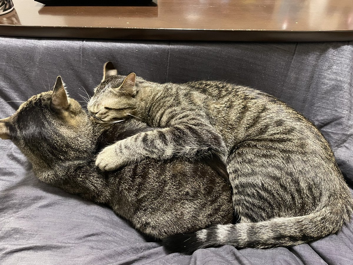 重い…… 