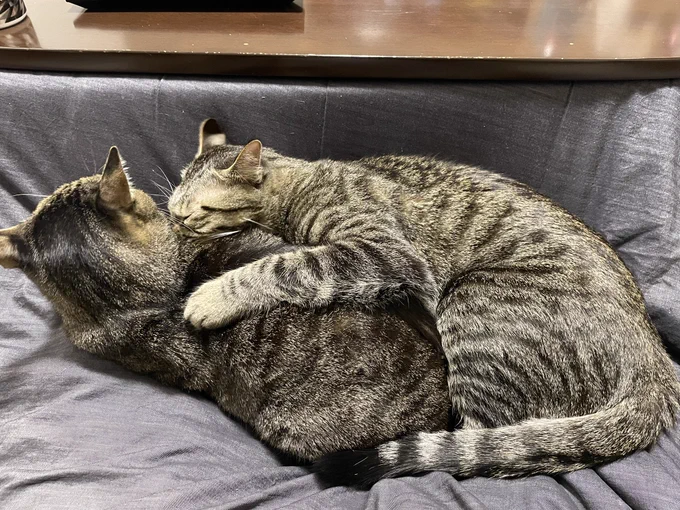 重い…… 