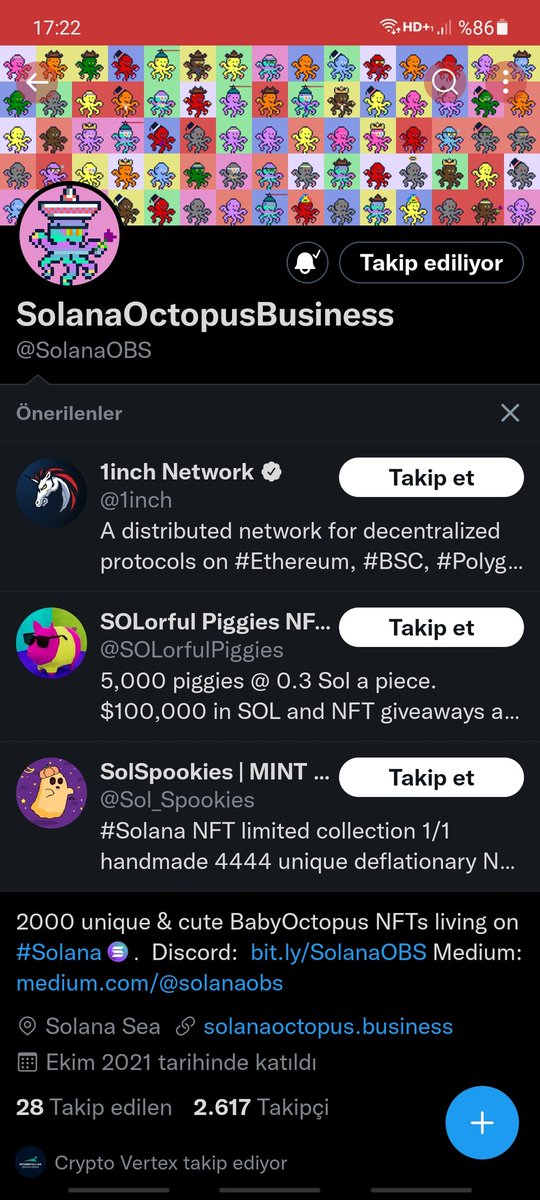 NFTemr tweet media