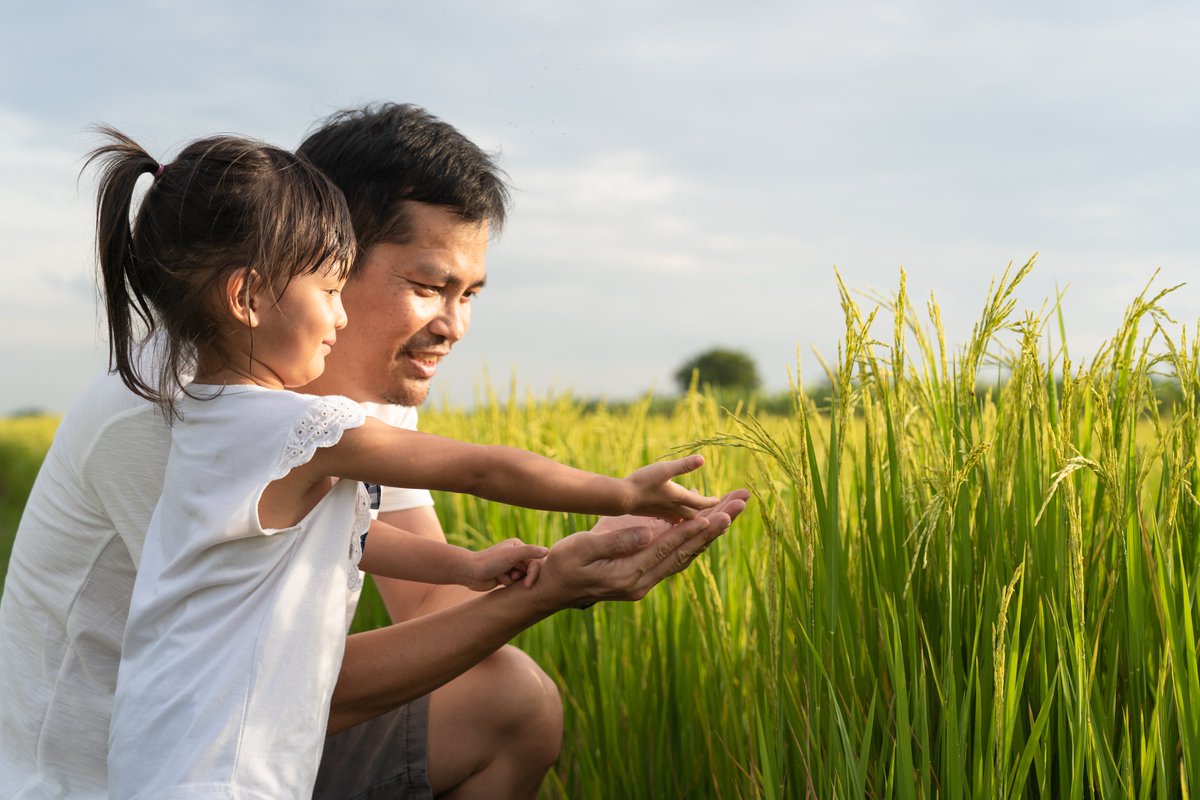 IFPRI_FSP's tweet photo. Check out FSP's Food Policy Analysis Tools that support information and decisions that help #policymakers, food policy experts, and #researchers to respond to dynamic developments in the #foodsystem.
👉 https://t.co/nI9cDofRAU https://t.co/iBH6cJOzhJ