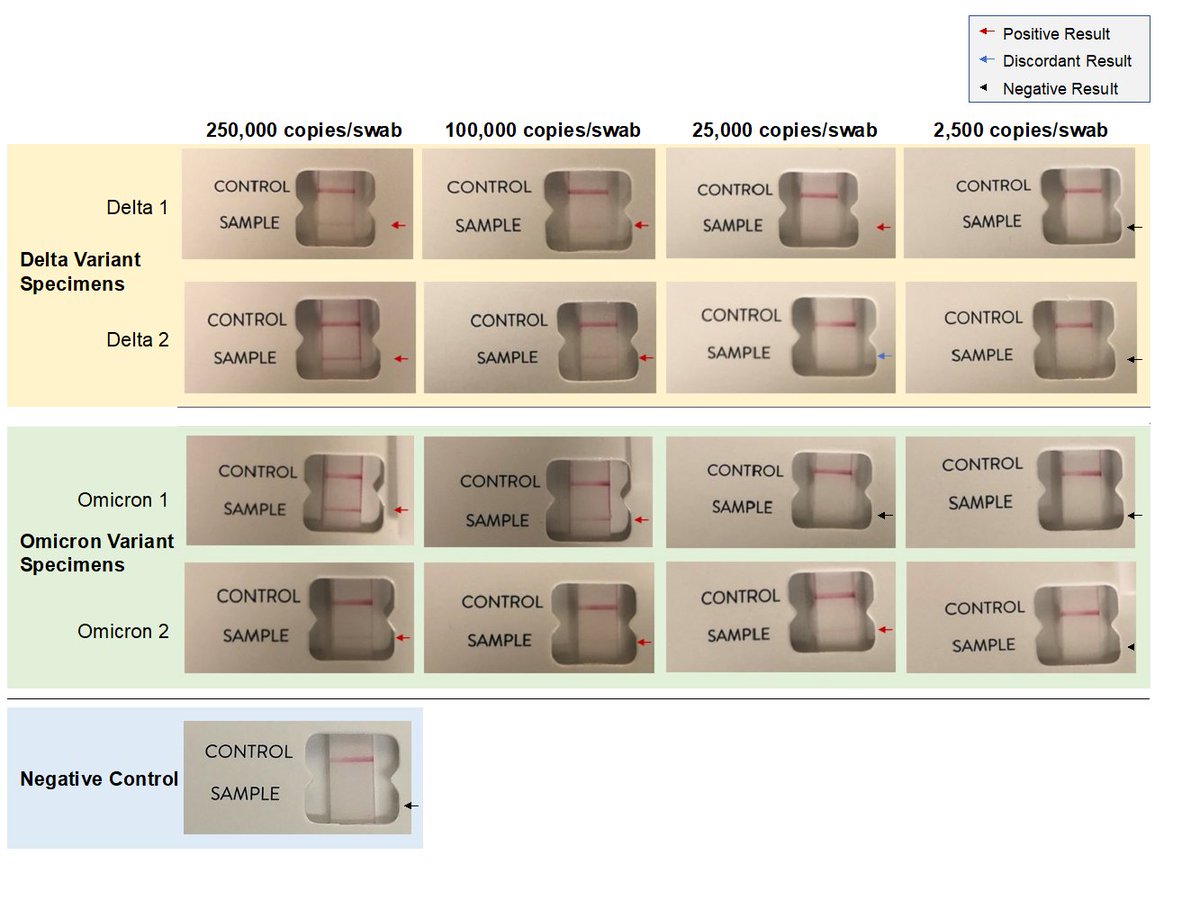 Wondering if #binaxnow works for Omicron?  We tested the rapid Ag test w/ dilutions of Delta and Omicron samples from 2.5K to 250K copies. At expected limit of detection (&gt;=100K copies), Binax worked for both. Larger studies needed, but reassuring that binax should be effective