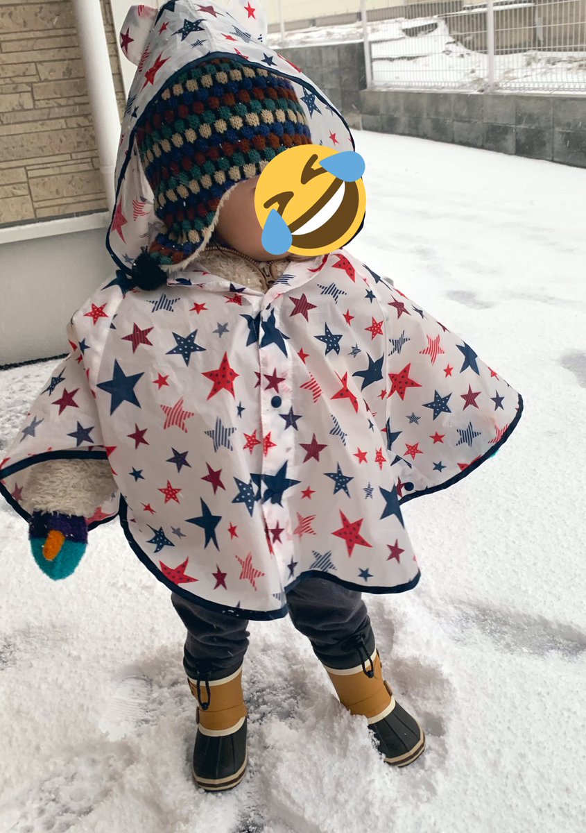 tatsuusasa's tweet photo. ご無沙汰しております。

まさかの雪国👹県におりますw
昨年末に転勤が決まりドタバタと3月に引っ越し、必死こいて慣れない土地でワンオペ子育てしてたら現在に至る←

お子も大きくなりました😂
ちびにゃとは一進一退ですw
お子が近づくとこの顔🙄
手や口がでないからいいかな😂 https://t.co/91H3ROUyPb