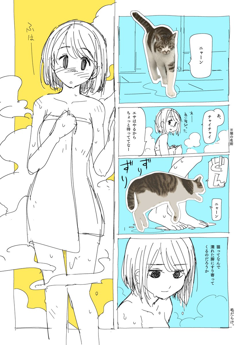 ネーム。 