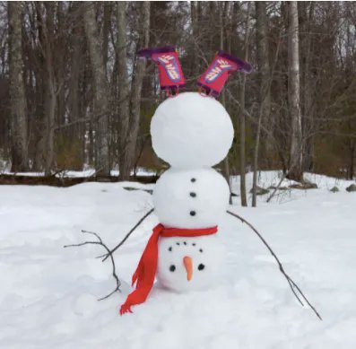 We hope everyone has a stress free break and has as much fun as this snowperson! #videolessons #exams #examseason #education #study #school #studytool #class #motivation #minuteschool #student #winter #snowperson