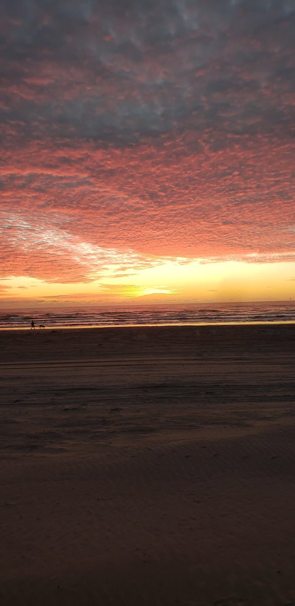 DollyCol22's tweet photo. @NWSCorpus #PadreIsland #WhitecapBeach https://t.co/6YABnIfljf