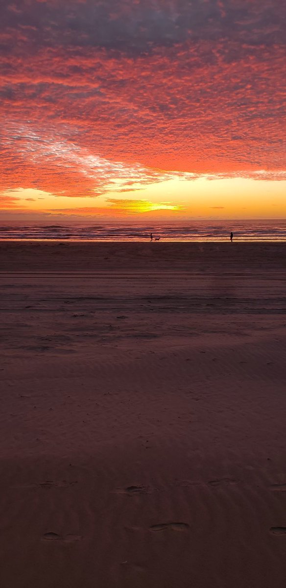 DollyCol22's tweet photo. @NWSCorpus #PadreIsland #WhitecapBeach https://t.co/6YABnIfljf