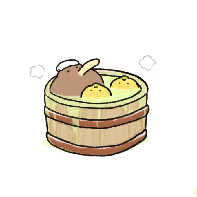 冬至のキーウィとユズチャン 