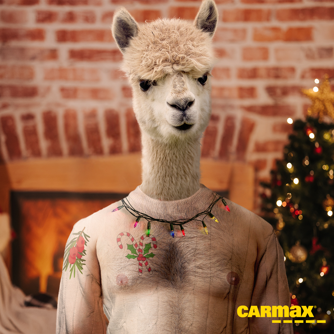 If people wear alpaca sweaters to holiday parties, do alpacas wear people sweaters? 🤔