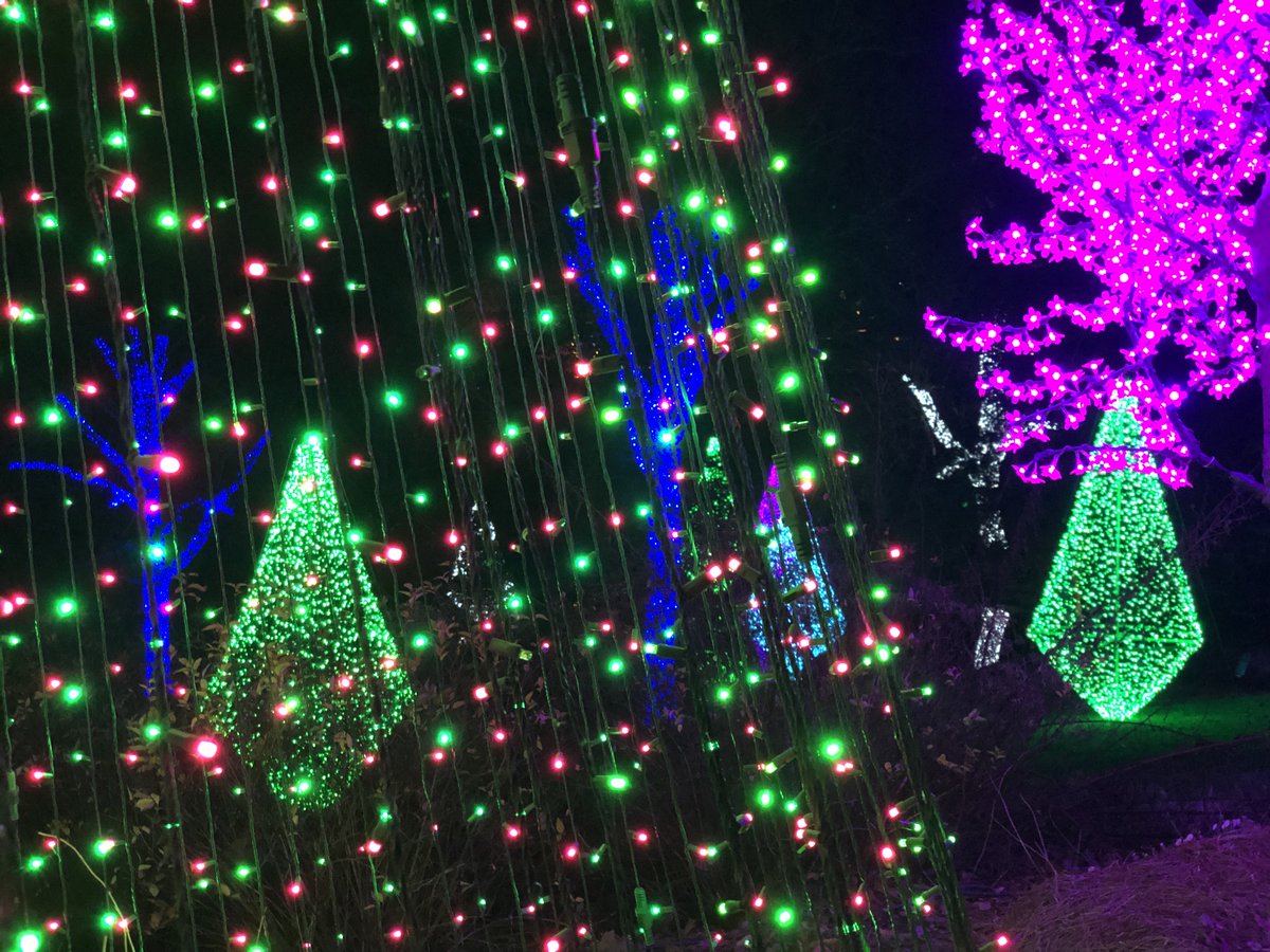 VEyeworks's tweet photo. We love this time of year in Nashville and the magic of all the twinkle lights at @Cheekwood! Reminder, our offices will be closed 12/23 - 12/26 and 12/31 - 01/02. 
#bevisionary #visionaryeyeworks #holiday2021 https://t.co/Gl5fCtpyvA