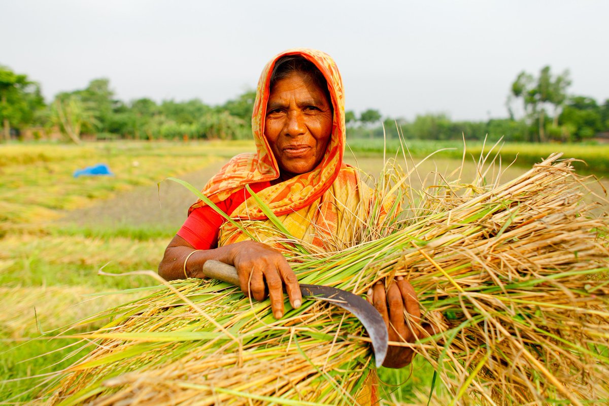 The starting point for a world without poverty and hunger is the rural world.

#InvestInRuralPeople