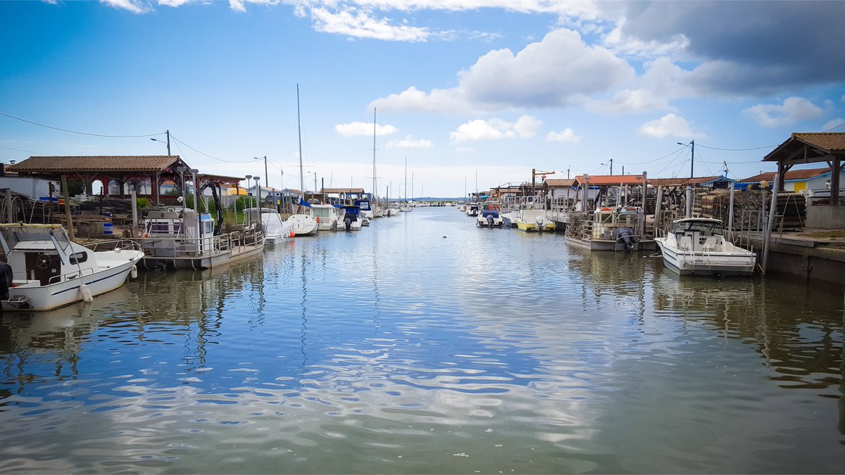 APAJH's tweet photo. Départ en vacances ce matin avec @APAJH_VACANCES 🧳👏En route pour plus de soleil 🌤️du côté d'@ANDERNOS_PLAGES (33) et #LePorteau (85) https://t.co/8nAoNNOmjI