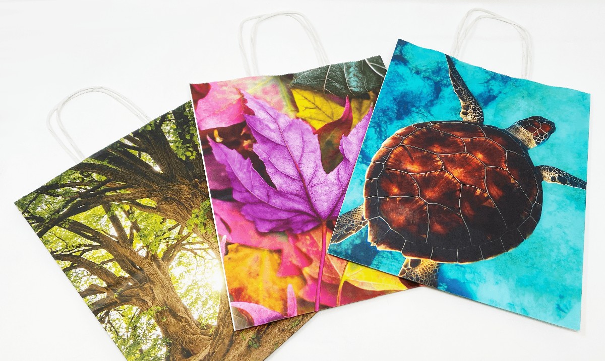 SarcinaPKG's tweet photo. New for 2022… Introducing Digitally Printed Paper Carrier Bags 🛍️

Get that ‘wow factor’ with your paper carriers whilst also being eco-friendly ♻️

https://t.co/yTOn2hajen

#sarcinapkg #packaging #packagingsolutions #mailingbag #standoutfromthecrowd #digitalprint #paperbag https://t.co/oj1UP5Q3Yo