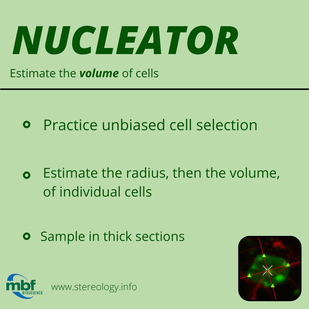 MBFBioscience's tweet photo. Stereology Probe Spotlight: Nucleator
Estimate the #CellVolume by marking them with 1-4 rays and find their mean length in the formula for the volume of a sphere
Learn more about Nucleator and other #Stereology Probes at https://t.co/1IsXaFSe2E!
#neuroscience #bigimagedata https://t.co/O5Ye5R5dus
