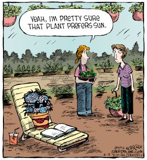 Evergreen_JC's tweet photo. WEDNESDAY HUMOR https://t.co/BHdzagGUku