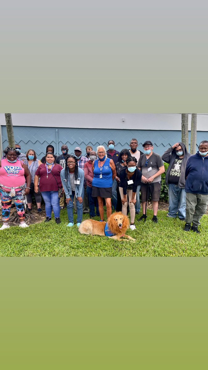 suetravis41's tweet photo. @pulte @DaveLaMont1 This is so coincidental!! I volunteer at one of your facilities with my therapy dog Buddy.  The clients and staff love our visits.  Thanks for all your good work!!! https://t.co/tzX4syINz4