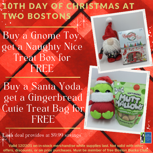 twobostons's tweet photo. 🐶 Buy a toy, get FREE treats for your best Furend! - https://t.co/yPMLIP7BlT https://t.co/BJcHzDrnap