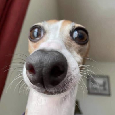 ethogyy's tweet image. #NewProfilePic