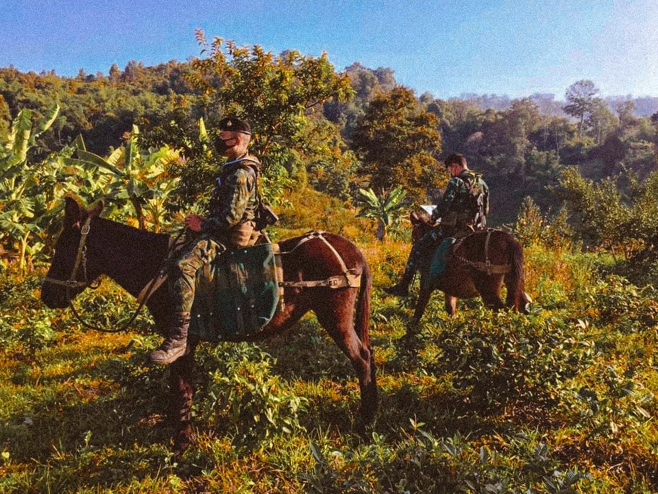 vrd_army's tweet photo. ไปทุกที่ . . ที่มีเส้นทาง 
การใช้ล่อลาดตระเวนตามแนวชายแดน #ฐานปฏิบัติการบ้านแม่หม้อ #ตำบลเทอดไท #อำเภอแม่ฟ้าหลวง #จังหวัดเชียงราย #หมวดบรรทุกต่าง #กองกำลังผาเมือง #กรมการสัตว์ทหารบก #vrdarmy #packsquadron #กองพันสัตว์ต่าง https://t.co/RmPsko7J44