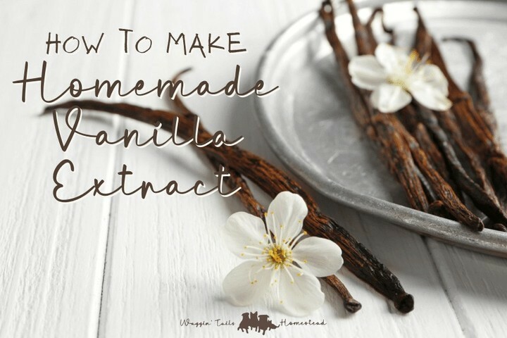 WagginTailsHstd's tweet photo. How to Make Homemade Vanilla Extract⁣
Vanilla is essential in the kitchen this time of year and this homemade vanilla extract tastes great and couldn't be simpler to make!⁣
.⁣
.⁣
.⁣
⁣
#vanilla #homemade #vanillabean #vanillaextract #baking #homestead #homesteading #homes… https://t.co/hIGEi1pSP8