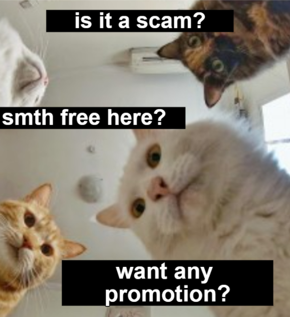 ToaPenda's tweet photo. you: launched a project

#cryptomemes #NFTCommunity https://t.co/k8mqv7DrDT