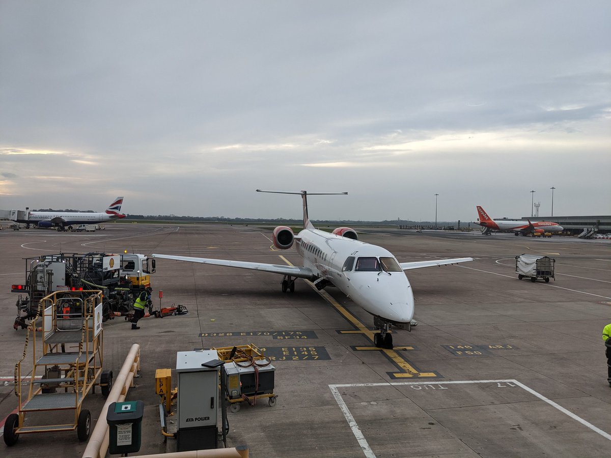 Emily Hornett ✈️ 🏳️‍⚧️ tweet media