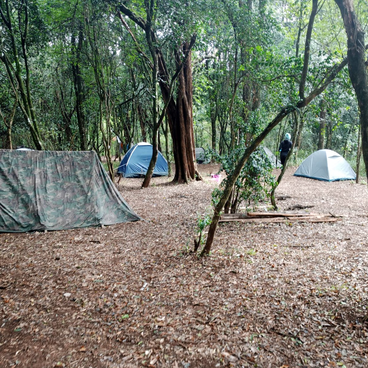 NJERI CHEGE tweet media