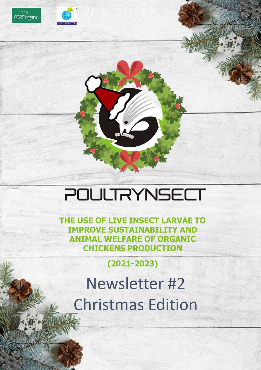 poultrynsect's tweet photo. Our second #poultrynsect Newsletter is published! With a special interview with one of our project stakeholder!
Have a look and subscribe to be updated about our project!
https://t.co/Ii4iDVpgNr
Merry #Christmas! 🎄
Poultrynsect Staff
@Mipaaf_ @susfood_eranet @CORE_Organic https://t.co/BffnRlCOKw