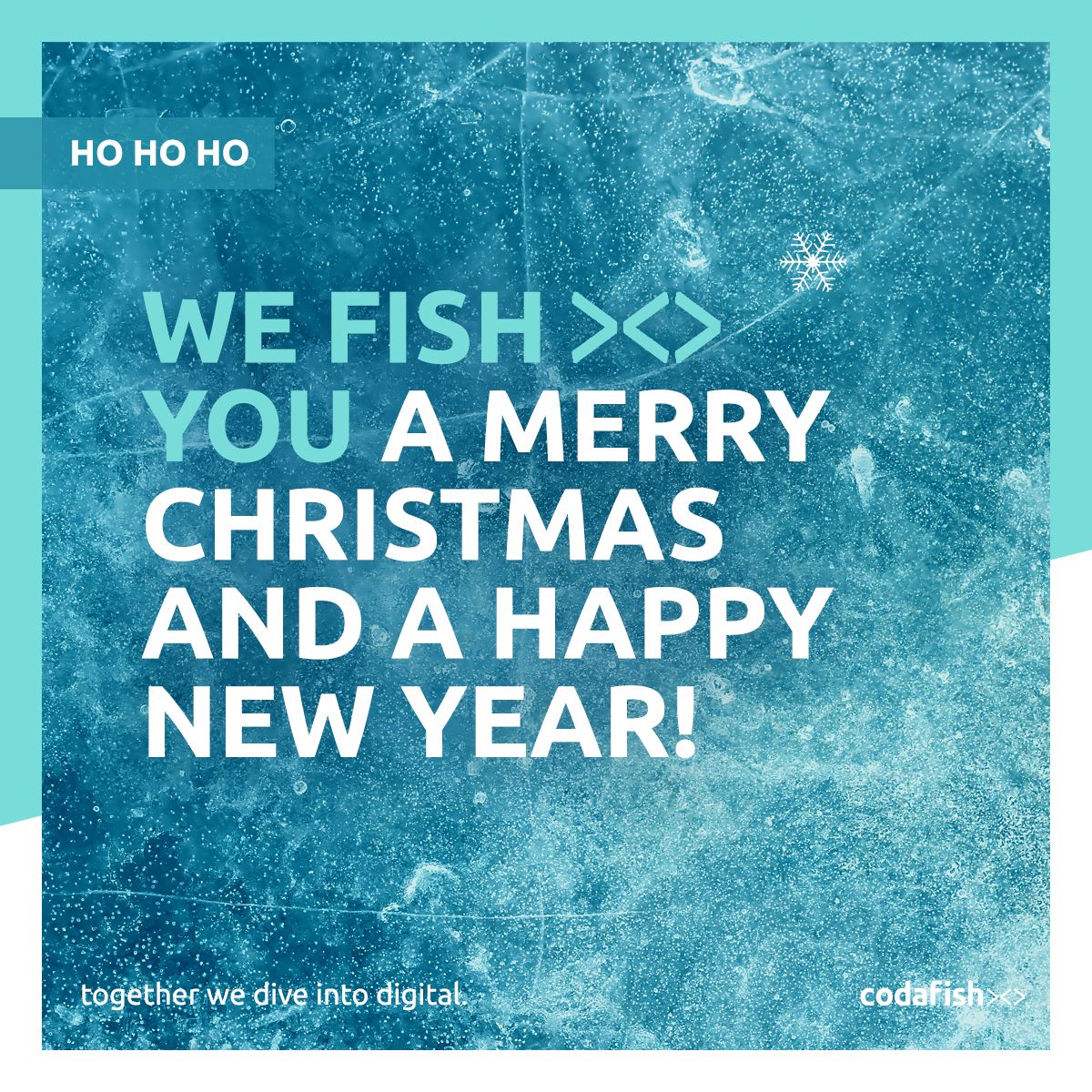 codafishagency's tweet photo. Das ganze ><> Team wünscht euch ein schönes Weihnachtsfest und ein tolles 🎆🎉 2022🎆🎉 #codafish #drupal #wordpress #pimcore #zoho #hamburg #berlin #madrid #ohnecodenixlos #><> https://t.co/XRFds4c98h