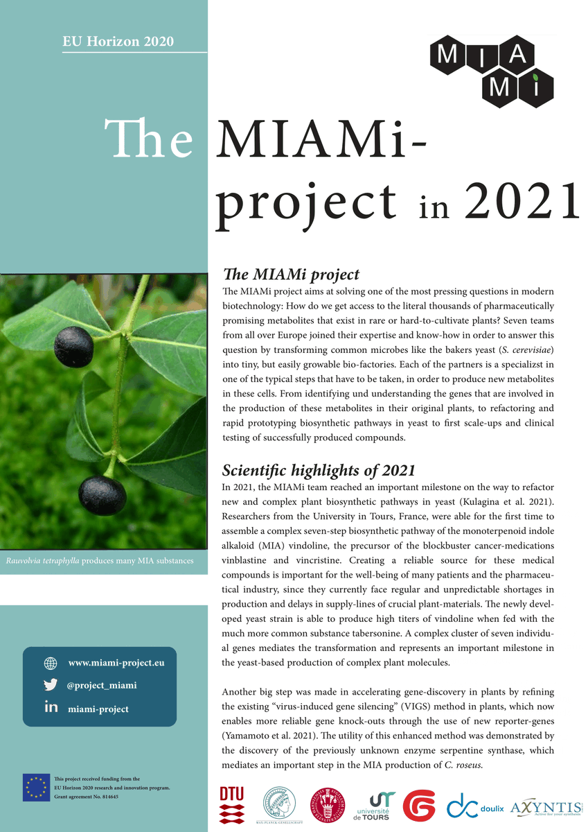 MIAMi Project tweet media